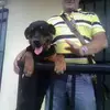 Omar Yepes - @omar.yepes - TikTok