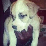 Omari Anderson - @u_fugazy_anderson - Instagram