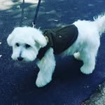 Marley Omari Branch🐾❤🐾❤ - @the_marley_book_collection - Instagram