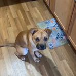Omari Bryant - Facebook