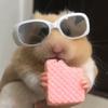 user8884902181687 - @omarigainesfr311v - TikTok