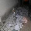 omariogordon496 - @omariogordon496 - TikTok