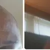 omarihall193 - @omarihall193 - TikTok