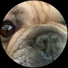 Omaritookyourgirl - @omari.maye - TikTok