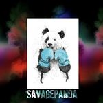 Omari Morris - @savagepanda2334 - Instagram