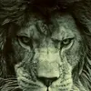 Omari Patterson - @malandri_bil - TikTok