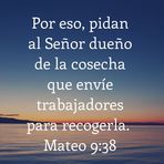 Omari Del Rosario To Rivera - Facebook