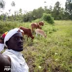 Ryan Omari - Facebook