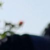 ryan.omari - @ryan.omari - TikTok