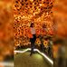 Omari Sanchez Robles - Facebook