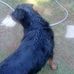 Omari Turner - Facebook