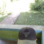 Jek Walas - Facebook