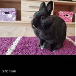 omer arshad - @omer_4168 - Instagram