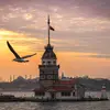 Omer baker beak - @omer.baker.beak - TikTok
