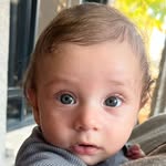 Omer David - @thesonofeladdavid - Instagram