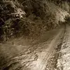 Alen Omerhodzic - @alen.omerhodzic - TikTok
