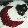 Omer Mehmood - @omermehmood61 - TikTok