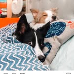 Omer ruiz - @ruiz.omer - Instagram
