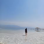 Omer Steiner - @omer_steiner11 - Instagram