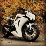 OMID - @omid___taghavi - Instagram