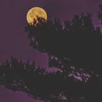 Omkar Prabhu - Facebook