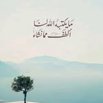 Omneya Ibrahim - @omneyaebrhim - Instagram