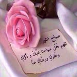 Omneya Ibrahim Ahmed - @omneya.i.ahmed - Instagram