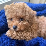 Fiona B - @fi_ona_bailey - Instagram
