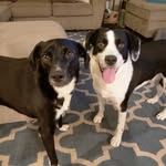 Mona & Bailey - @mona_n_bailey - Instagram