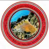 onarushpucoek_kru - @onarushpucoek_kru - TikTok