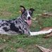 Oneida Brown Adams - Facebook