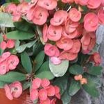 Oneida Galvez - @galvezoneida - Instagram