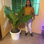 Oneida Soto - @oneida.soto.961 - Instagram