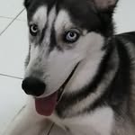 Soneida Tejeda - @soneidatejeda - Instagram