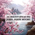 Oneida Torres - @oneida.torres.9404 - Instagram
