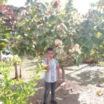 oneida torres - @oneidatorres729 - Instagram