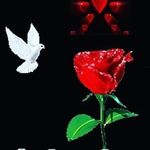Oneil Ellis - @oneil.ellis.58 - Instagram