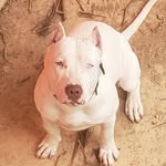George O'Neil - @george.oneil.355 - Instagram