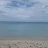Oneil Sutherland - @oneil.sutherland - TikTok