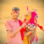 👑❤️ओंकार उर्फ बादशहा ड्रायव्हर वडोलीकर❤️👑 - @badsha_driver_vadolikar - Instagram