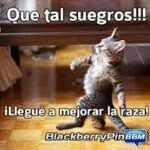 Henry Onel Garcia Yustre - @henryonel.garciayustre - Instagram