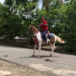 Onel Garcia Garcia - @onelgarcia48 - Instagram