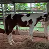 Onelgarcia 2 - @onelgarcia - TikTok