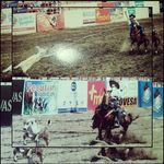 🐂Onel Rodriguez 🐎 - @onel2298 - Instagram