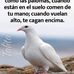 Onelia Lopez - Facebook