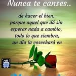 onelia Pérez cruz - @oneliaperezcruz - Instagram