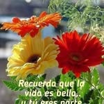 Onesima Hernandez - @hernandezonesima - Instagram