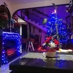Onesimo Castillo Morales - @onesimocastillo - Instagram