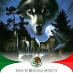 Onesimo Gutierrez - @onesimo.gutierrez - Instagram