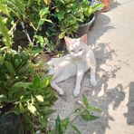 Onesimo Rios - Facebook